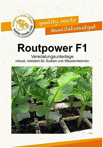 Routpower F1 Veredelungsunterlage für Gurken Portion