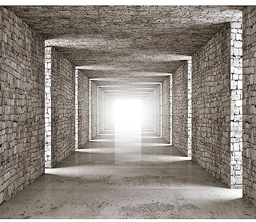 murando Fototapete selbstklebend 3D Tunnel 392x280cm Foto Tapete Tapetenfolie Möbelfolie Wandverkleidung Wandtapete Motivtapeten Bildtapete Wohnzimmer Schlafzimmer 3d Effekt Mauer Ziegeloptik Abstrakt