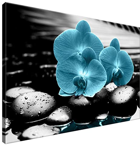 Estika Leinwand bilder - Türkis Orchideen, Schwarz weiß Hintergrund - 90x60 cm, 1 teilige kunstdruck - Wandbilder wohnzimmer, schlafzimmer, Moderne wanddeko, Bild auf leinwand - 2398A_1L