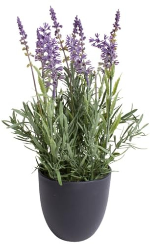 Botanic-Haus künstlicher Lavendel (künstliche Kräuter Dekoration) im schwarzen Kunststofftopf