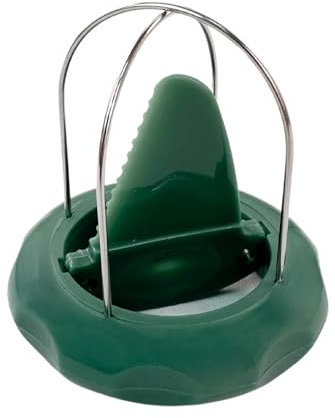 Fackelmann Cortador de Kiwis, Apto para Pelar y Cortar el Kiwi con Facilidad, Acero Inoxidable y Plástico Resistente, Apto para Lavavajillas, Color Verde, 1 ud.