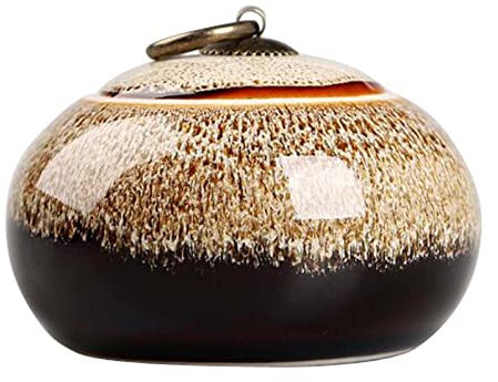 ZEALMAX Boîte à thé en porcelaine – Ensemble de pots hermétiques avec joint pour café, bonbons – Boîte en céramique/rangement-A