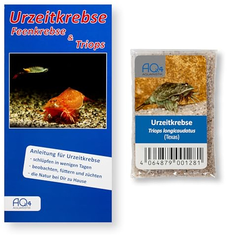 Triops longicaudatus Texas Zuchtansatz ca. 100 Urzeitkrebs-Eier in Sand | seltene Triopsart, Urzeitkrebs-Eier mit Anleitung, Nachfüllset, Triops züchten, Triopszucht, Triopseier, Dinokrebse