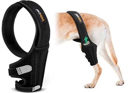 Lyderpet Hunde-Kniebandage für gerissenes ACL-Hinterbein, Kreuzbandbandagen für Hunde, starke Unterstützung zur Reduzierung von Gelenkschmerzen und Muskelkater, mit seitlichen Stabilisatoren für das