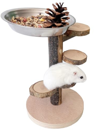 DEMONTALK Hamster Food Bowl with Climbing Toys Ladder Stairs, Rat Toys for Pet Rats, Hamster Accessories for Cage, Pet Feeder Food Dish