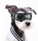 NAMSAN Augenschutz für Hunde, Sonnenbrille, einfach anzubringen, stylisch, für kleine/mittelgroße Hunde