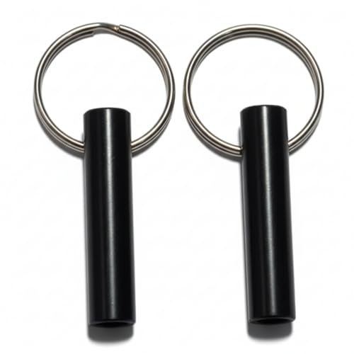 Kompatibel/Ersatz für Petsafe für Microchip RFID Halsbandanhänger Disc Key (2 Stück)