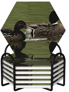 Loon Nature Keramik-Untersetzer mit Vogeldruck, stilvolle und funktionale Getränkeuntersetzer für Heimdekoration, 6 Stück