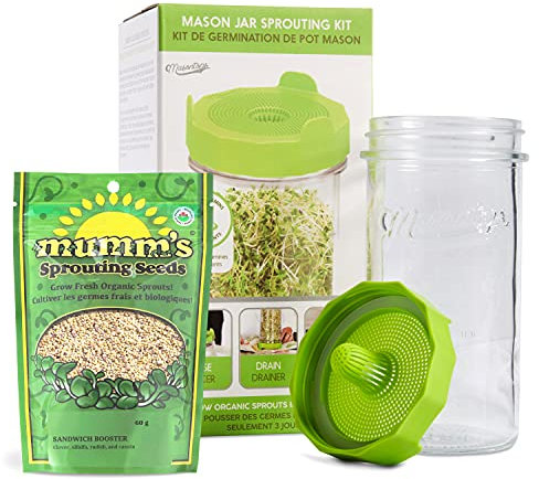 Masontops Einmachglas-Bohnensprossen-Starter-Set – einfaches DIY Bohnensprout Anzucht-Kit mit Bio-Samen und Glas