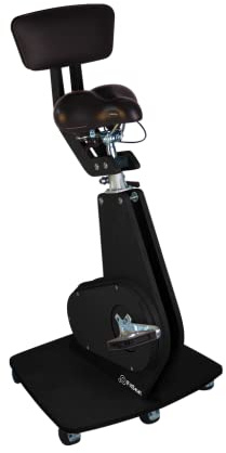 FitSeat Nr.1 Professional Deskbike (BlackPanther)