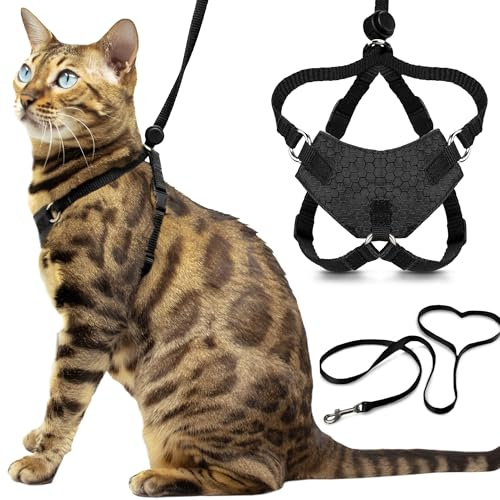 Houdini™ Großes Katzengeschirr und Leine, ausbruchsicher, von OutdoorBengal zum Spazierengehen mit großen Katzen, Größe L