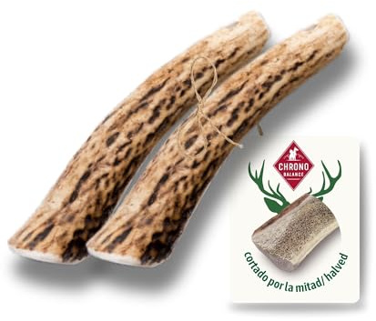 ChronoBalance® XS (Conjunto de 2) Barras para Masticar maíz del Cerebro del Perro, del tamaño de una Moneda de Diez centavos, Natural, para Cura dei dei dei, 100% sustentable, sin sostanze chimiche
