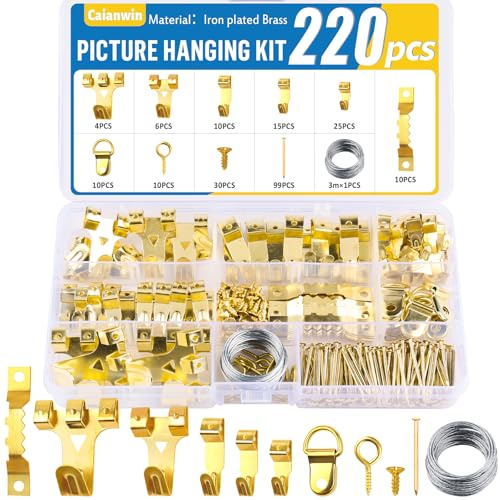 Caianwin 220 Stück Bilderhaken Gold,Bildaufhänger Bilderhaken Bilder Aufhängen,Zackenaufhänger,Bilderrahmen Set mit Fachbox