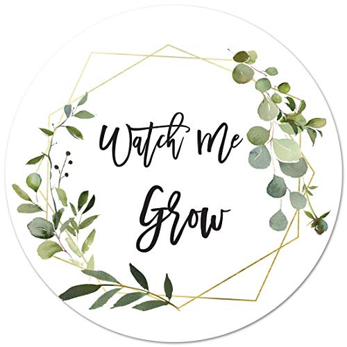 40 cnt Watch me Grow Baby Shower Favor Stickers Labels Greenery Eucalyptus Favor Labels