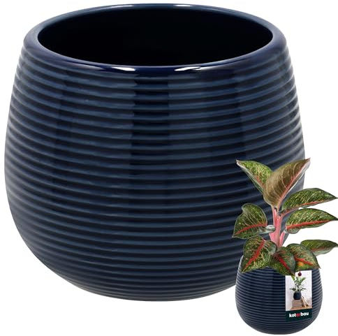 KOTARBAU® Blumentopf Kobaltblau aus Glasierter Keramik - Rund ⌀ 12 cm Höhe 14 cm - Großer Übertopf Pflanzkübel