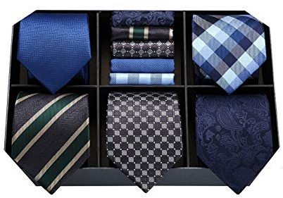 HISDERN Cravate Homme 5 Pièces Mariage Fete Ensemble Cravates et Mouchoirs pour Hommes en Soie Classique Formelle Cravate Carré de Poche