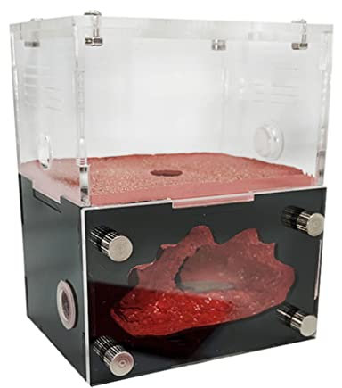 GGFLY Ameisenfarm aus Acryl Ameisennest Königin Zuchtinsektenhaus mit feuchtigkeitsspendendem Wasserturm Ameisenhaufen Werkstattzubehör