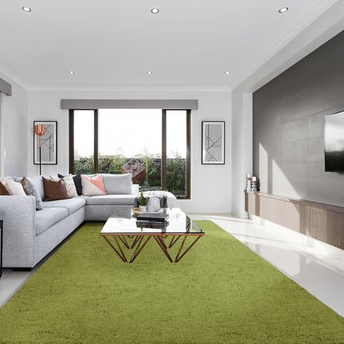SOANNY Rug, Living Room Fluffy Shaggy Carpet, 200x300cm Grass Green | Machine Washable, Non Slip, Plush Cozy Soft, Bedroom Dorm Nursery Office Lounge Playroom Bedside Sofa Kids Room Decor