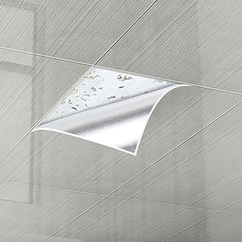 MLYAYE Dalle de Plafond Lot de 10 Dalles de Plafond en Vinyle Lisse, Autocollantes, pour Chambres, Cuisines et plafonds, décoratives et résistantes à l'usure, en PVC.(#4)