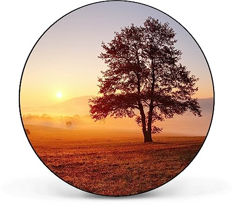banjado Magnettafel Ø 47cm Schwarz - Magnetwand aus Metall - Magnetpinnwand als Memoboard - Pinnwand Magnettafel Küche, Büro, Kinderzimmer inkl. 4 Magnete & Montageset - Sonnenaufgang