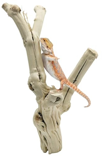Apatal Reptile Branches for Climbing Natural Snake Climb Branch Extra Large Wood Forest Tree Trunk Decor Lizard Habitat Terrarium Decorations for Bearded Dragon Geckos Chameleon Frog