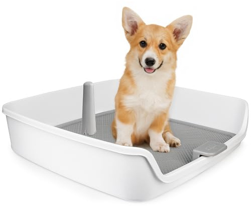 ALL FOR PAWS Dog Potty Tray Indoor Dog Pee Pad Holder Toilet Puppy Litter Box with Removable Post, Raised Sides, Large Space, Shed Proof & Mess Free, Easy Clean-up, Great for Small and Medium Dogs