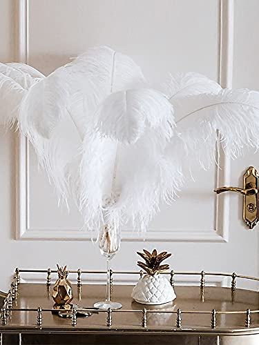 HJHIWE Lot de 10 plumes d'autruche blanches 43-48cm pour centres de table et artisanat, plumes d'autruche pour décoration de table, mariage, fête de masque, pièce maîtresse