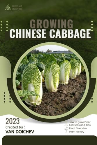 Chinese Cabbage: Guide and overview