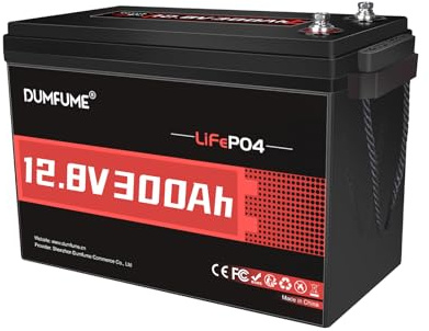 Dumfume 12V 300Ah LiFePO4 Lithium Batterie, 3840Wh 200A BMS | Niedertemperaturschutz Solar Batterie für Wohnmobil, Solarenergie Speicherung, Camping, Photovoltaik, Heim-Energiespeicher