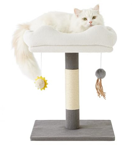 Gardner Pet Árbol para Gatos Pequeño, Altura 50 cm, Forma Cuadrada, Gris