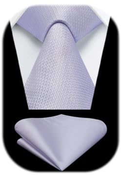HISDERN Herren Krawatten Flieder Klassisch Hochzeit Lila Krawatten und Einstecktuch Set Formelle Business Elegant Party