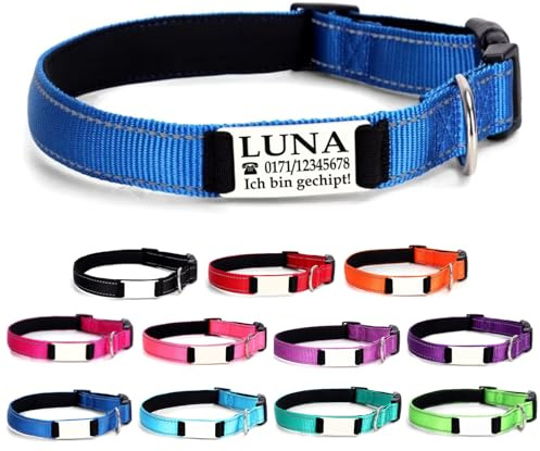 Ibera gifts - Hundehalsband Personalisiert, Hundehalsband Mit Namen Für Große Hunde, 40-60 cm, Reflektierend (Blau, L Groß)
