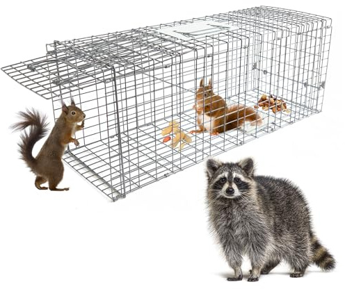 Live Animal Cage Trap, 32 x 11 x 12 Heavy Duty Folding Raccoon Traps, Humane Cat Trap for Stray Cats, Squirrels, Raccoons, Skunks, Groundhogs and Opossums, Catch and Release