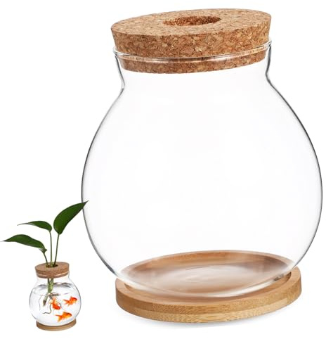 Toyvian Petit Aquarium pour Poissons Betta Terrarium avec Couvercle Décoration De Bureau Culture Hydroponique De Plantes Bocal Verre