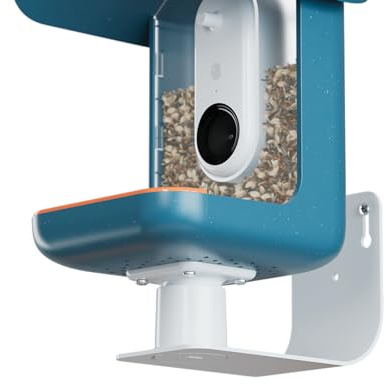 Birdbuddy Support Mural - Support Mural Polyvalent pour mangeoire à Oiseaux pour Murs et clôtures - Accessoire de mangeoire d'extérieur Durable, résistant aux intempéries, Robuste, sécurisé & élégant