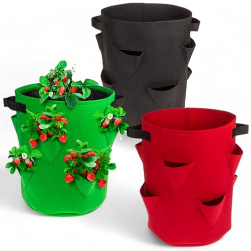 MIJOMA 3er-Set Erdbeer-Pflanzsack mit 8 Pflanztaschen – 35 x 42 cm, atmungsaktiver Filz, wiederverwendbar, 3 Farben (Rot, Grün, Schwarz)