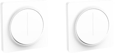 GIWFBQTR 2X Tuya Smart WiFi Dimmer Light Switch,Touch Dimming Panel Wall Switch 100-240V,Works for Home