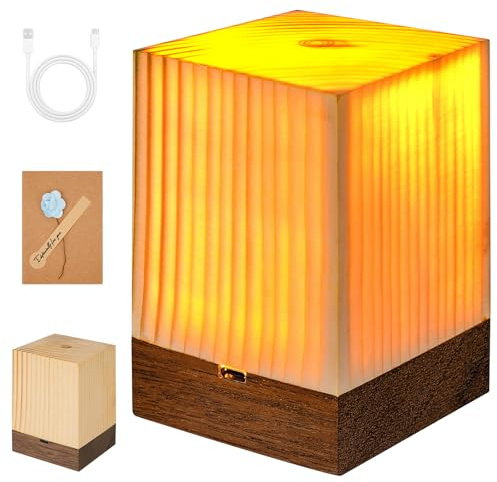 Fanesen Nachtlicht Nachttischlampe Touch Dimmbar, AtmosphäRe Tischlampe Stilllicht für Schlafzimmer Wohnzimmer, USB Aufladbar Stilllicht Touch Lampe, Tragbar Nachtlicht, Geschenk für Freunde
