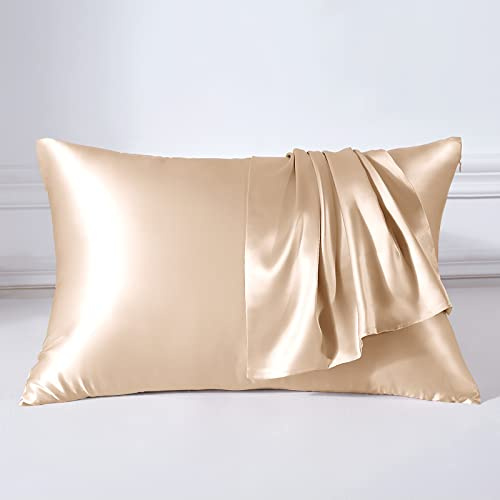 THXSILK 22 Momme Seide Kissenbezug - 100% Seide Kopfkissenbezug Sofakissenbezug - Anti milben Reißverschluss Seidenkissenbezug - Champagner 40 x 80 cm