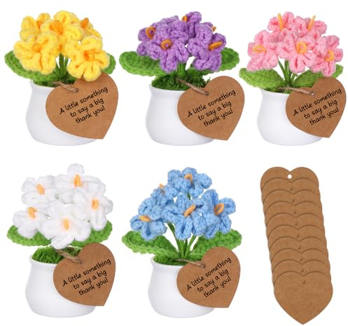 5 Pack Handmade Crochet Forget-Me-Not Flowers - Artificial Potted Plants with Thank You Tags, Mini Knitted Floral Decor for Desk Home Office, Gift for Mum Teachers Women Birthday Appreciation