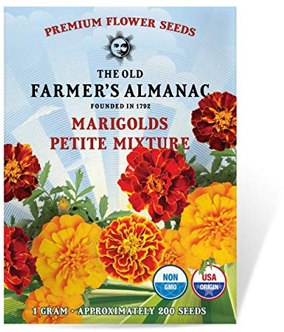 The Old Farmer's Almanac Petite Mixture Marigold Seeds - Premium Non-GMO, Open Pollinated, USA Origin - Approx 200 Flower Seeds