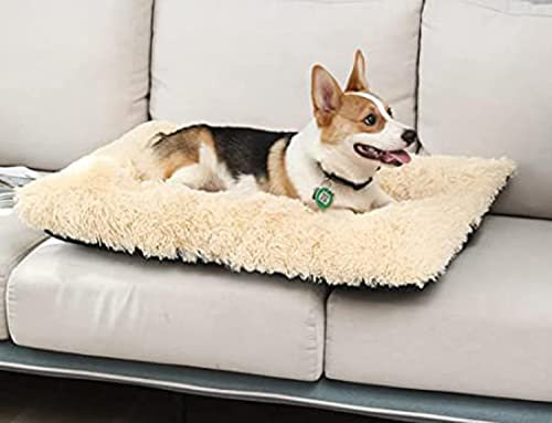 DanChen Hundebett waschbar Grosse Hundekissen Plüsch Hundekörbchen Hundematte Rutschfestem Weiches Hundesofa 43x30cm Haustierbett Wasserdicht XL für Mittelgroße Hunde Katzen-Beige