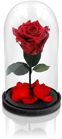 Aluisi Fiori - Rosa Stabilizzata Rossa - Base in Legno Nero Senza LED - Rosa Stabilizzata Vera in Campana di Vetro - Fiori Stabilizzati