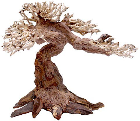 Amtra - Oriental Wind 5 Holz, handgefertigt, für Aquarien, 30x10x20 cm