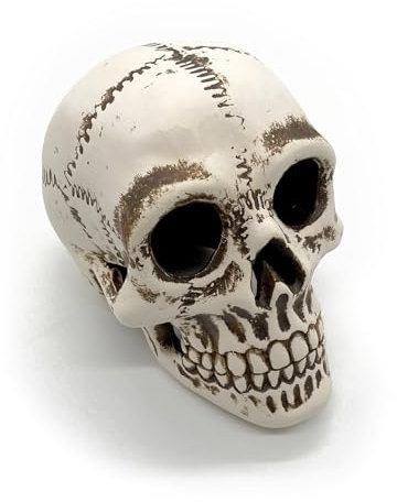 ZooPaul Keramik Deko Dekoration Aquarium Terrarium Totenkopf Kopf Skull Schädel