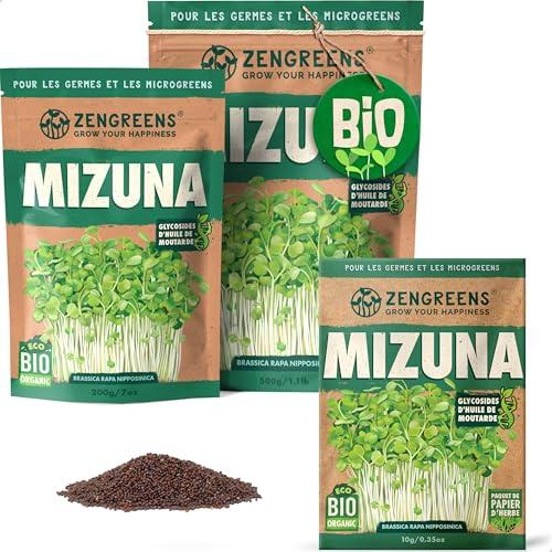 ZenGreens® - EKO Mizuna Frön - Välj mellan 10, 200g och 500g - Mizuna Frön med en grobarhet på över 97 procent - Groddar av Mizuna Frön - Microgreens