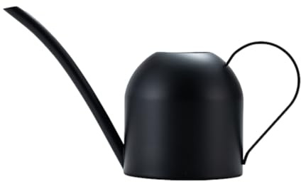 Petit Arrosoir - Bidon d'eau À Long Bec De 500 ML pour Arroser,Petits Arrosoirs en Acier Inoxydable avec Poignée pour L'arrosage des Fleurs De Jardin De D'intérieur