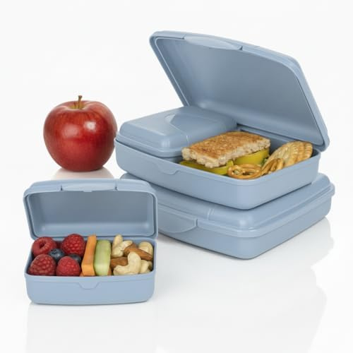 Hausfelder Brotdosen-Set 4er Erwachsene, Lunchbox flach, Blau