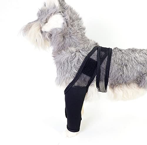 BUYTER Haustierverletzungen, doppelte Hinterbeinschutz, Kniebandage, Schutz für Hunde, Gelenkfüße, Abdeckung, Unterstützung (XL)