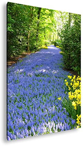 deyoli Chemin des jacinthes de raisin - Format : 75 x 50 cm - Impression numérique de qualité supérieure avec cadre en bois